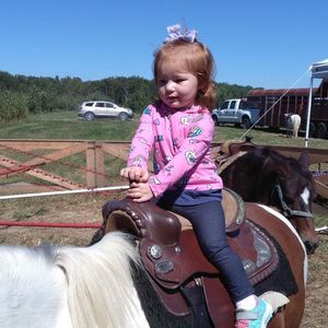 Meet your Posher, Brandon